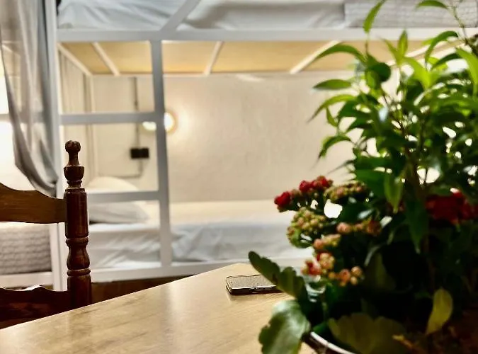 Loft Apart&hostal Vandrerhjem