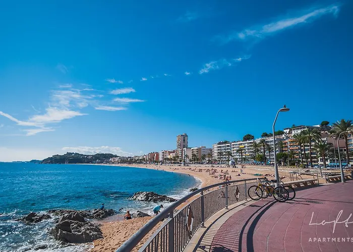 Vandrerhjem Loft Apart&hostal